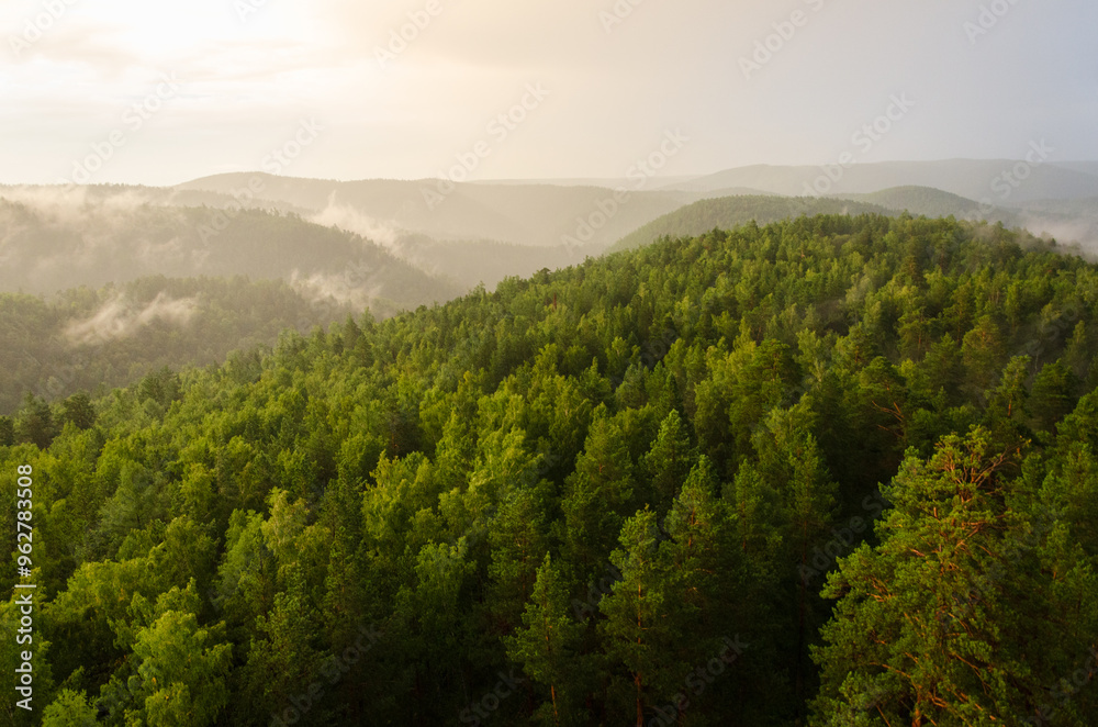 Fototapeta premium Forest on the Mountain light fall on clearing mists at sunset sky background. Hight quality photo of nature