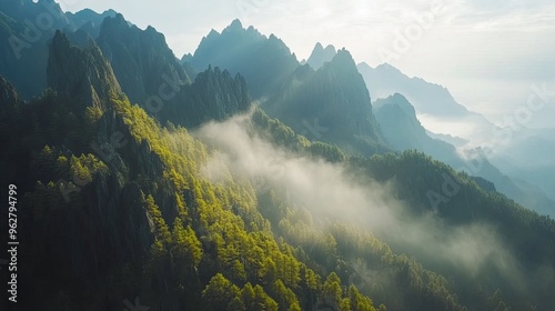 Aerial Panorama of Yellow Mountains: Iconic Pine Trees, Mist-Cloaked Peaks, Ethereal Seclusion, Ideal for Nature Enthusiasts