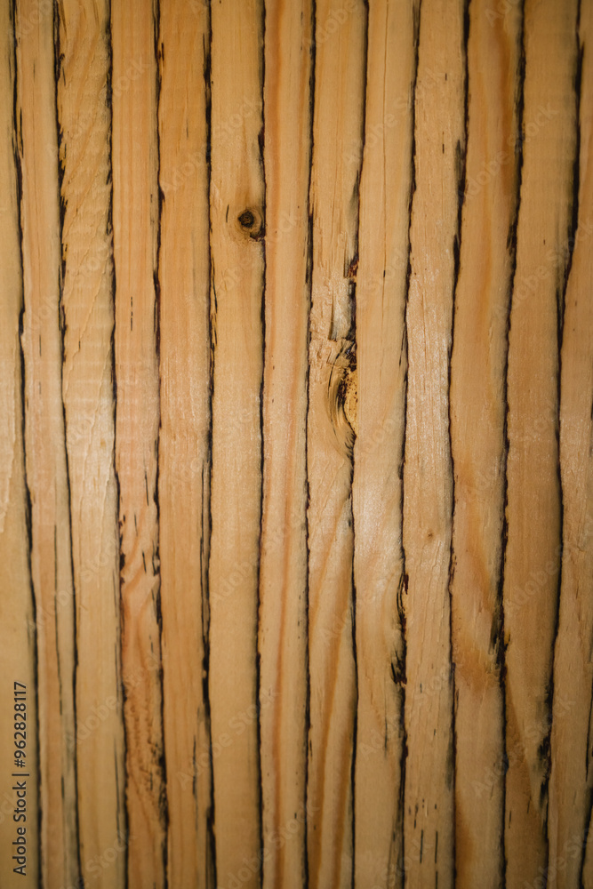 texture of cut of laminated veneer lumber texture of cut of laminated veneer lumber