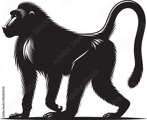 Baboon Monkey animal Silhouette isolated on white background