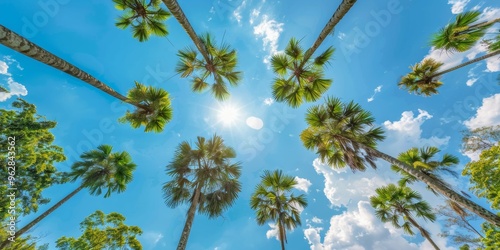 Tall palm trees with lush fronds swaying against a clear blue sky create a serene tropical atmosphere.
