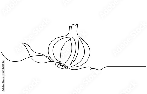 Garlic vector illustration, background. One line drawing art illustration with lettering organic garlic. Garlic one line drawing