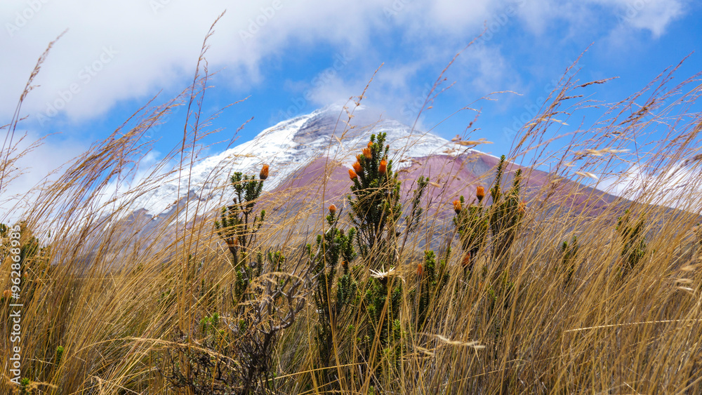 Obraz premium vulcano Cotopaxi ECUADOR