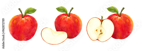 Cut two slice serving fresh ripe red apple watercolor illustration