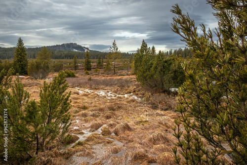 Beautiful Landscape of Jezerni Slat in Bohemian Forest. Peat Bog surrounded by Green Trees during Cold Season. photo