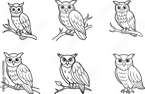 Set of Owls line art vector illustration  photo