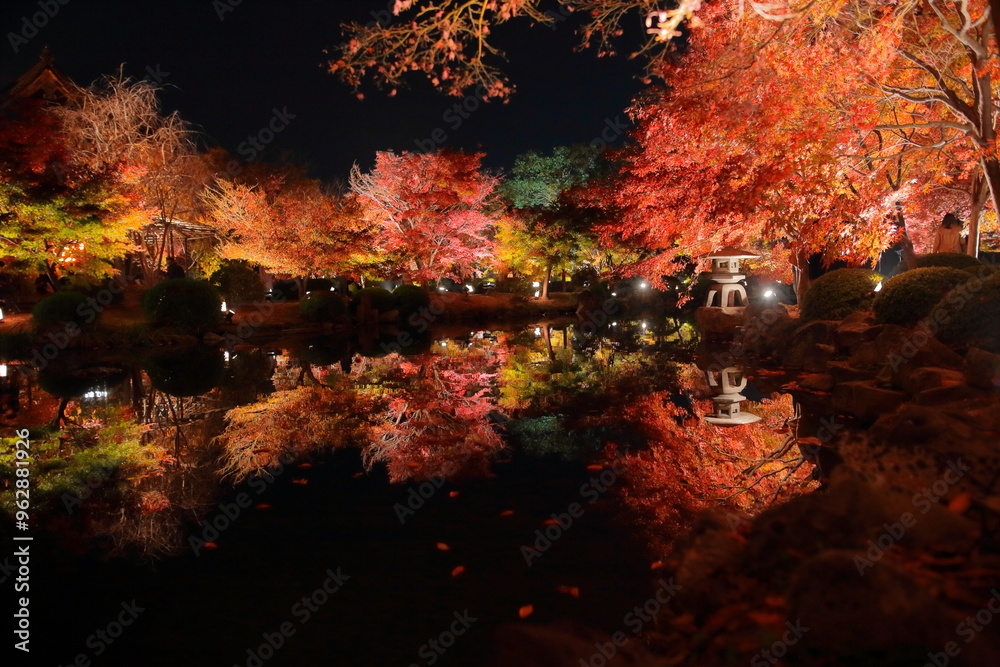 Obraz premium 日本 京都 紅葉