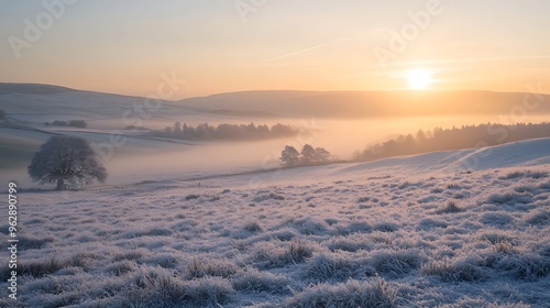 sunrise in the snow