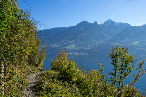 A forest during autumn season at lake walensee