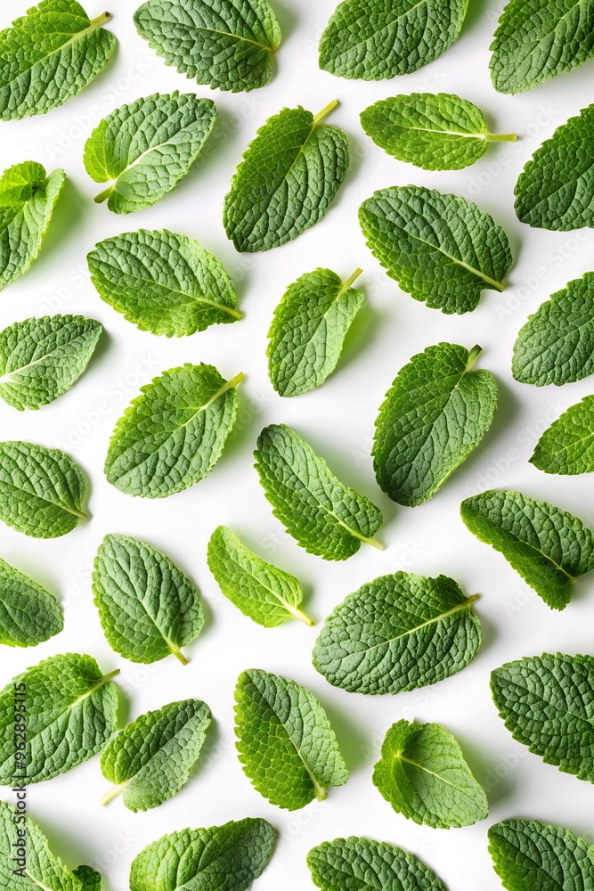 Mint leaves pattern isolated on white background. Mint leaves pattern isolated on white background.