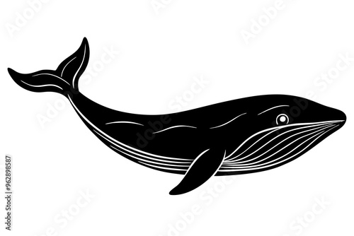 whale silhouette vector illustration