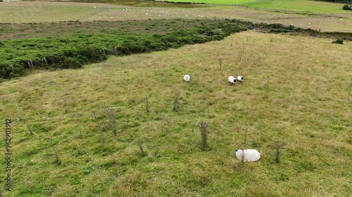 la sommet Great Sugar Loaf à Bray près de Dublin en Irlande