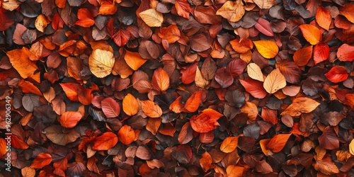 Autumn background made of red, orange, and brown leaves on the ground. Top view.