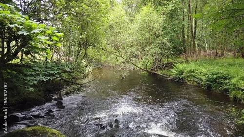 survol de la région de Wicklow mountains en Irlande
