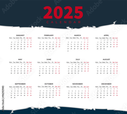 A Year in Focus  grid 2025 colorful vector Simple layout of pocket or wall calendar 