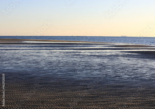 Saha-gu, Busan, South Korea - January 17, 2021: Mud flat of Dadaepo Beach in the afternoon near Nakdong River at low tide
 photo