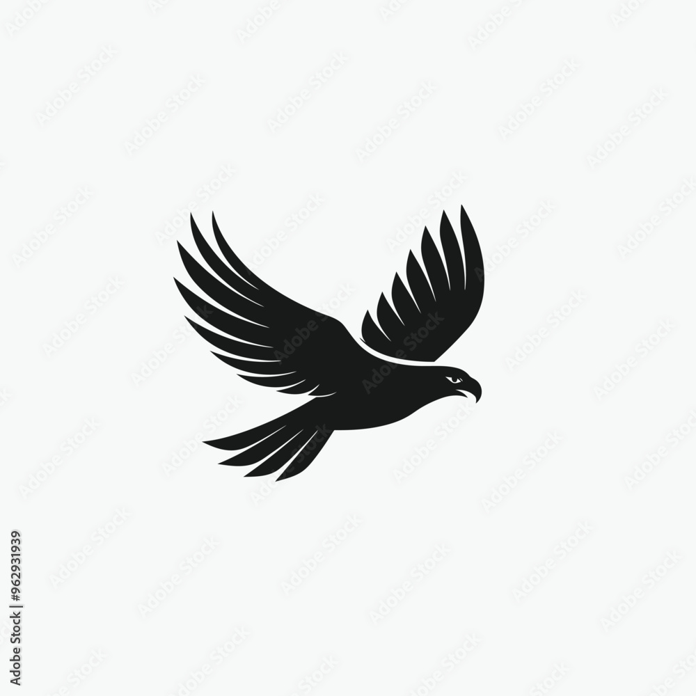 Obraz premium eagle with wings