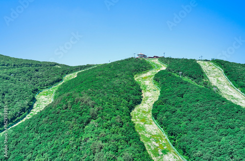 Jeongseon-gun, Gangwon-do, South Korea - June 22, 2020: Aerial view of summer ski slopes at High1 Resort on Baegunsan Mountain photo