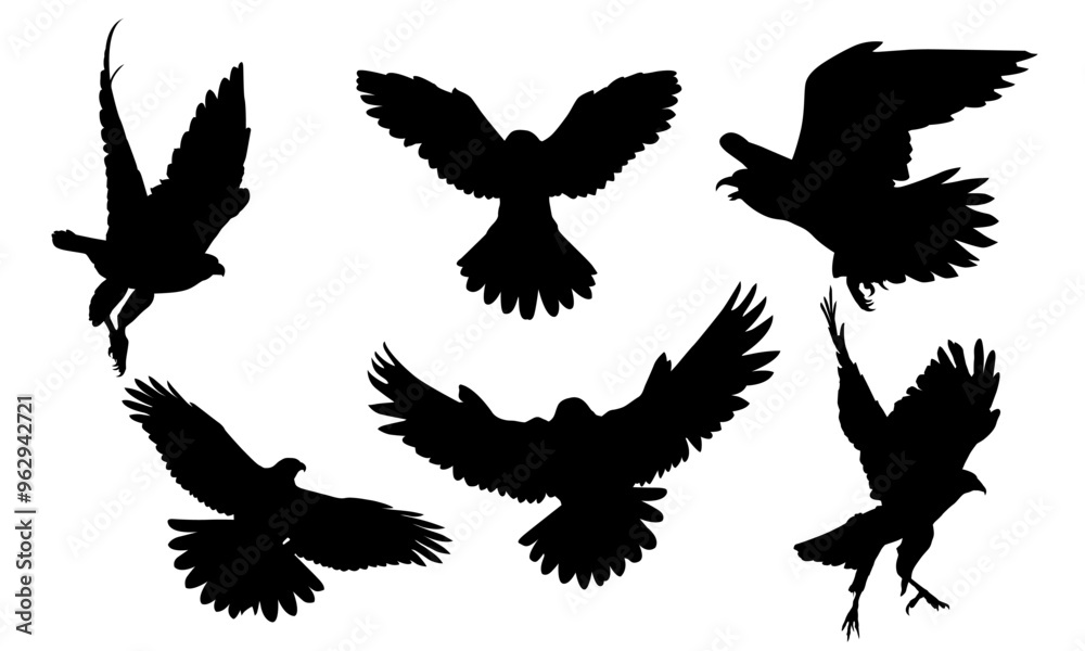 Obraz premium Animals eagle hawk bird fly swoop attack silhouette set collection on white background vector