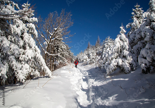 Pyeongchang-gun, Gangwon-do, South Korea - March 03, 2021: Back view of a hiker walking on snow covered trail of Seonjaryeong Pass photo