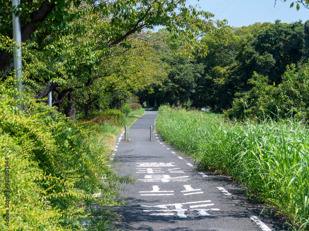 Obraz premium 新緑に覆われた石川リバーサイドサイクルライン