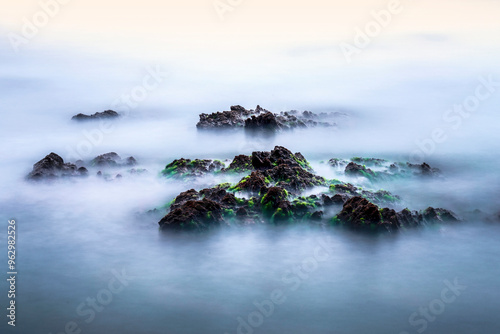 Long exposure and morning view of wave on the sea rocks with green laver near Seosan-si, South Korea photo