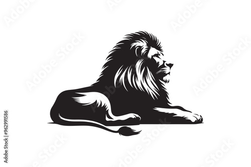 Lion vector art and illustration photo