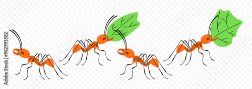 Leafcutter ants move along a trail towards the colony, graphic design. Insects, animals, nature, plants and leaves, vector design and illustration