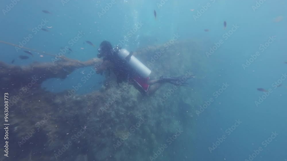 Scuba divers observing a large shipwreck completely rusted and overgrown lying underwater, 4k Scuba divers observing a large shipwreck completely rusted and overgrown lying underwater, 4k