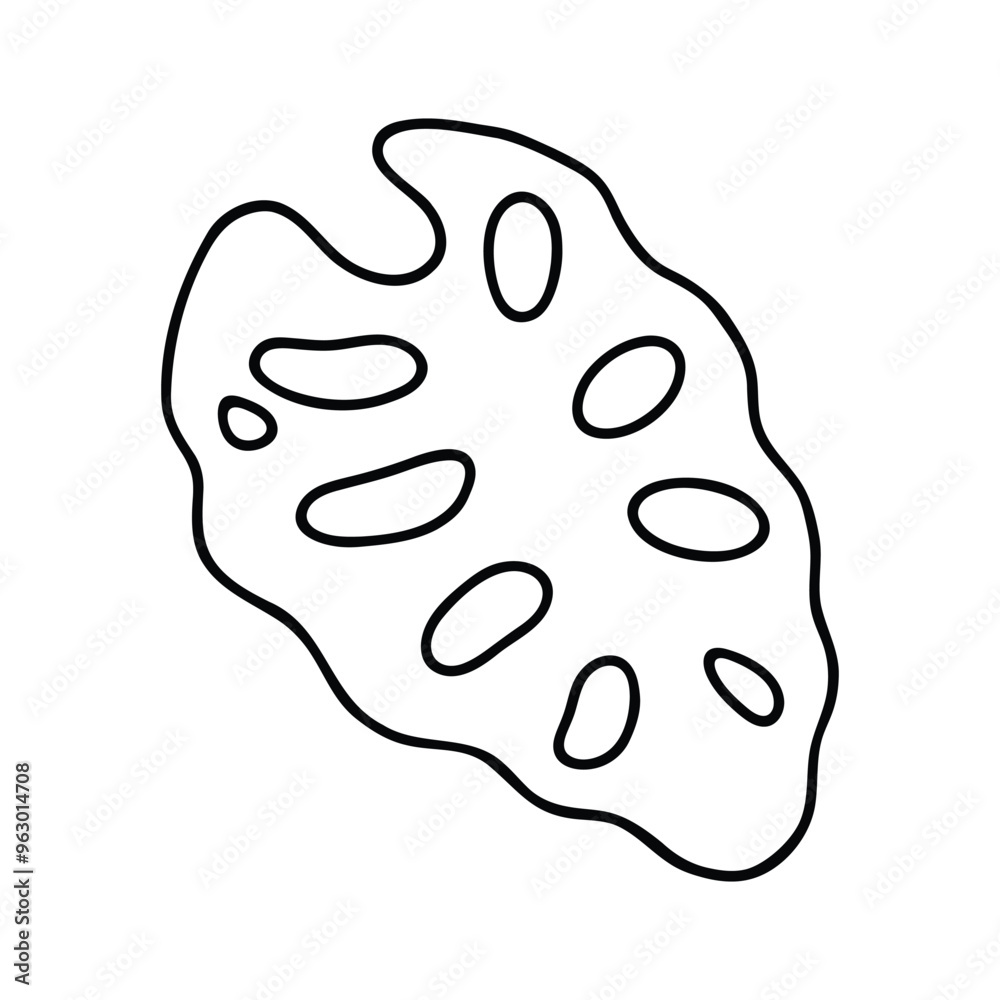 Illustration of a Monstera leaf Illustration of a Monstera leaf
