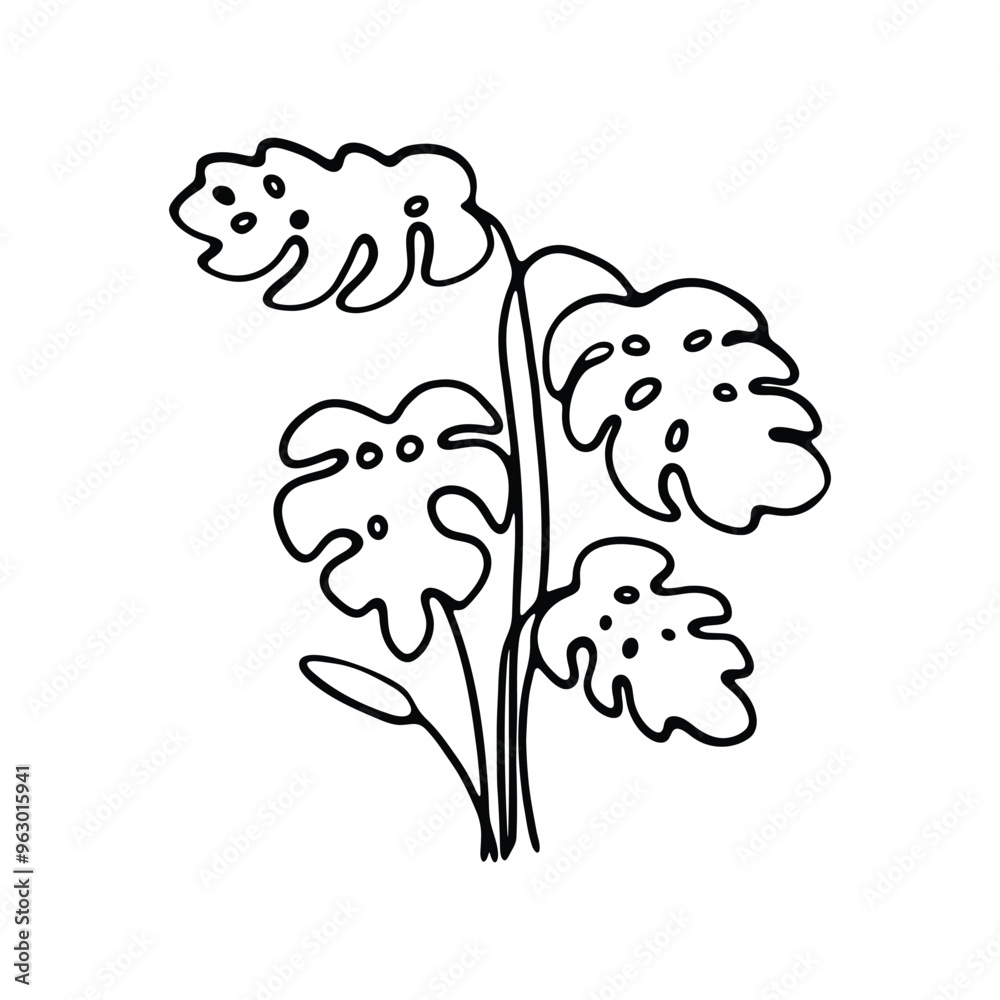 A clean and simple black and white line art of a Monstera plant. A clean and simple black and white line art of a Monstera plant.