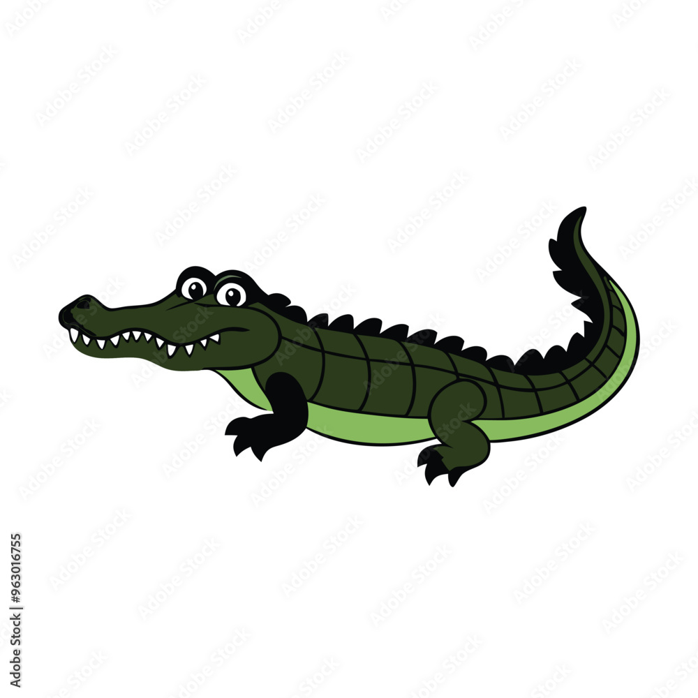 A crocodile with a mouth open and the word alligator, white background, A crocodile with a mouth open and the word alligator, white background,