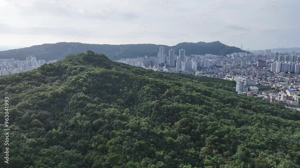 서울 봉화산 서울 봉화산