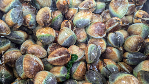 Fresh New Zealand clams cockles shellfish seafood at local supermarket
