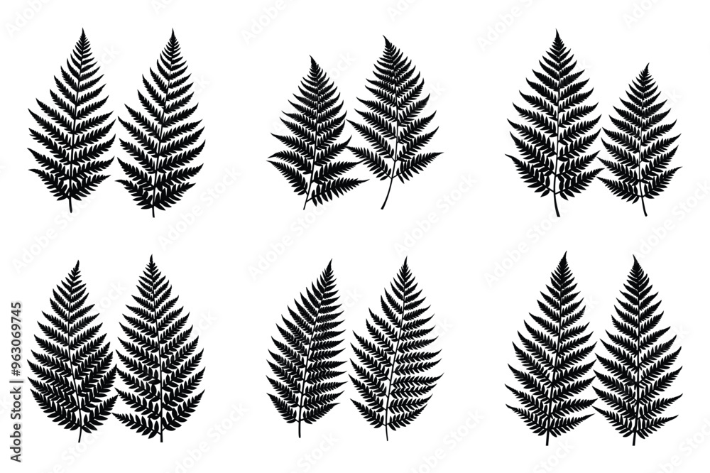 A pack of fern leaf silhouettes vector illustration A pack of fern leaf silhouettes vector illustration
