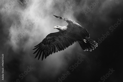 A black and white photo of a bird flying in the sky