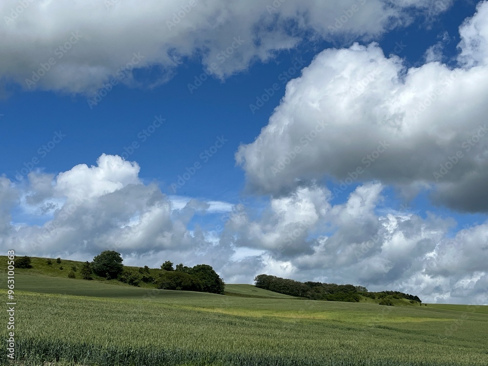 field and blue sky field and blue sky