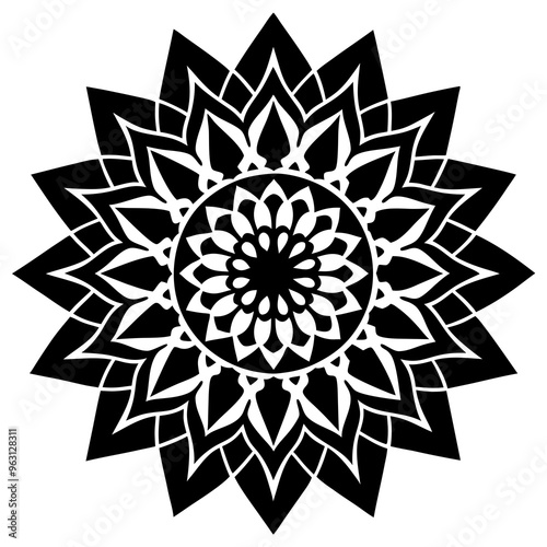 mandala design vector illustration