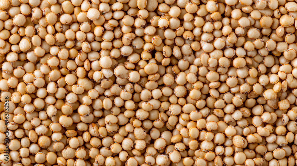 Quinoa grain pattern background, emphasizing its versatility and nutritional value. Quinoa grain pattern background, emphasizing its versatility and nutritional value.