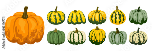 Set of various pumpkin vector illustrations in cartoon groovy funky style. Collection of different shapes gourds. Cute colored, flat pumpkin autumn harvest, fall