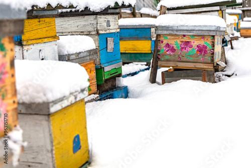 Colorful beehives covered in snow at a remote apiary during winter months in a tranquil setting