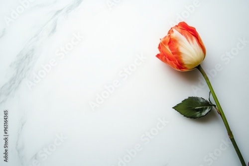 A vivid rose lies on a smooth white marble surface, showcasing its delicate petals and green leaves in a minimalist display. Generative AI