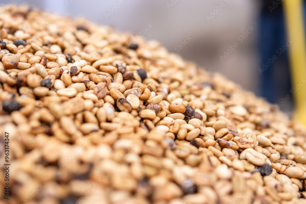Obraz premium Perfect coffee beans for a wallpaper background, unprocessed coffee industry