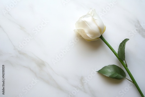 A delicate white rose lies gently on a clean, polished marble surface, creating an elegant and serene atmosphere. Generative AI