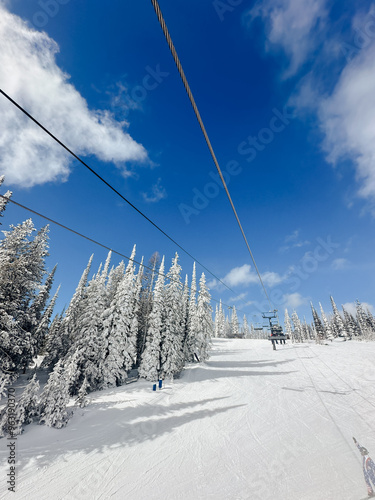 A bluebird powder day in the Colorado Rocky Mountains