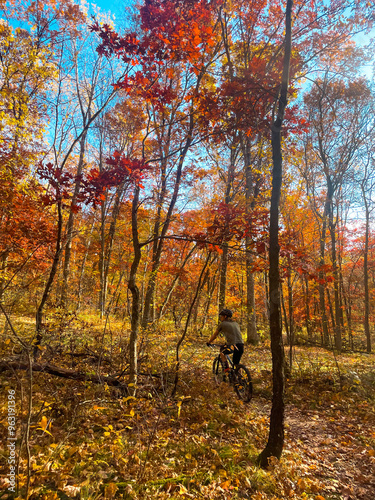 Mountain Biking in the Autumn Leaves