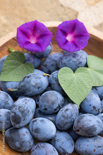 Frisch geerntete Ökologische Zwetschgen in einer Holzschale