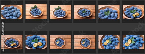 Portolio aus frisch geernteten Zwetschgen