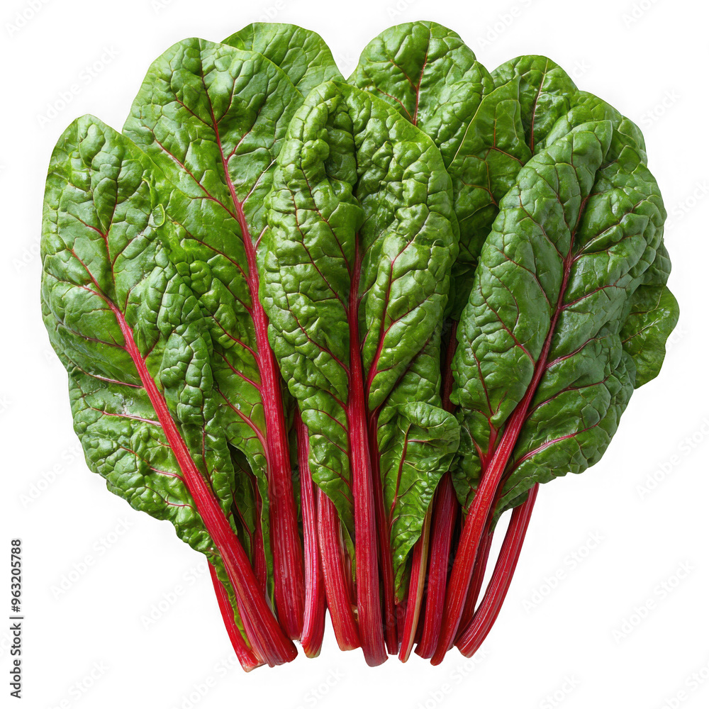 Swiss Chard isolated on a transparent background png file no background png file