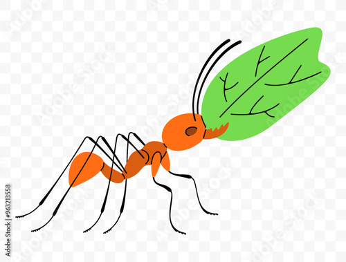 Leafcutter ant move along a trail with leaf, graphic design. Insects, animals, nature, plants and leaves, vector design and illustration